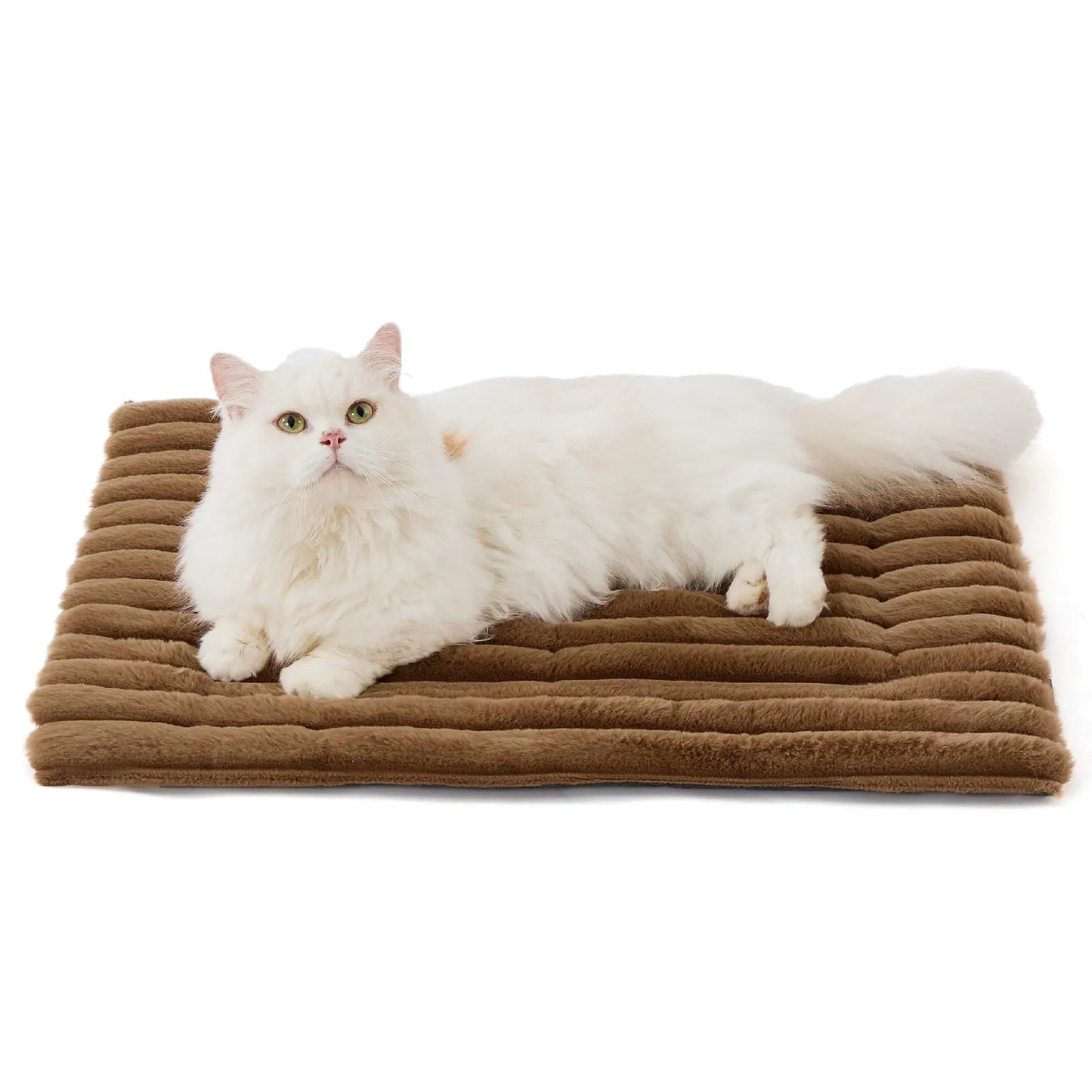 Self Warming Pet Bed Cozy Comfort