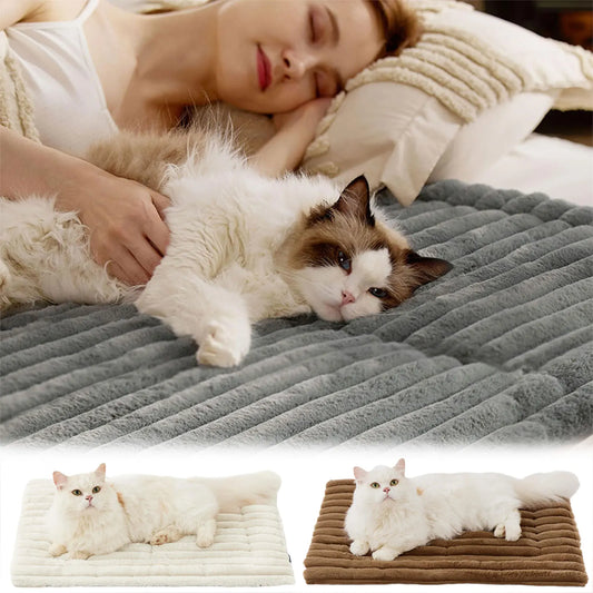Self Warming Pet Bed Cozy Comfort